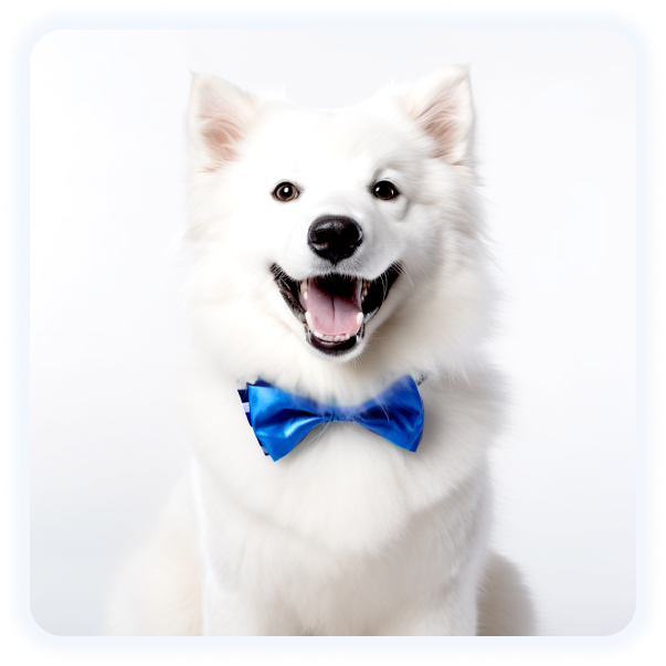 pet online store grooming