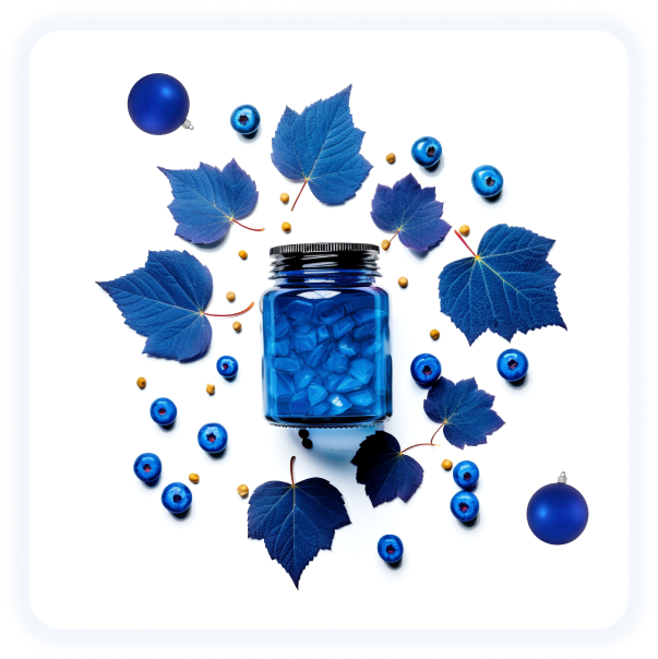 wellness healthy food diet online store