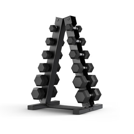 home fitness gear set dumbbells