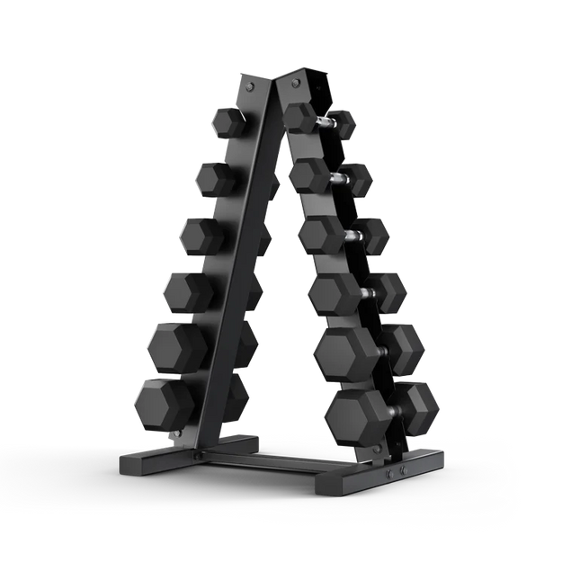 home fitness gear set dumbbells