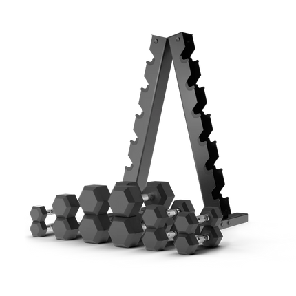 home fitness gear set dumbbells