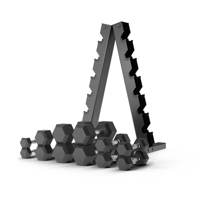 home fitness gear set dumbbells